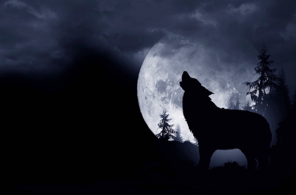 8 Popular Diets That Are Surprisingly Bad For Your Health