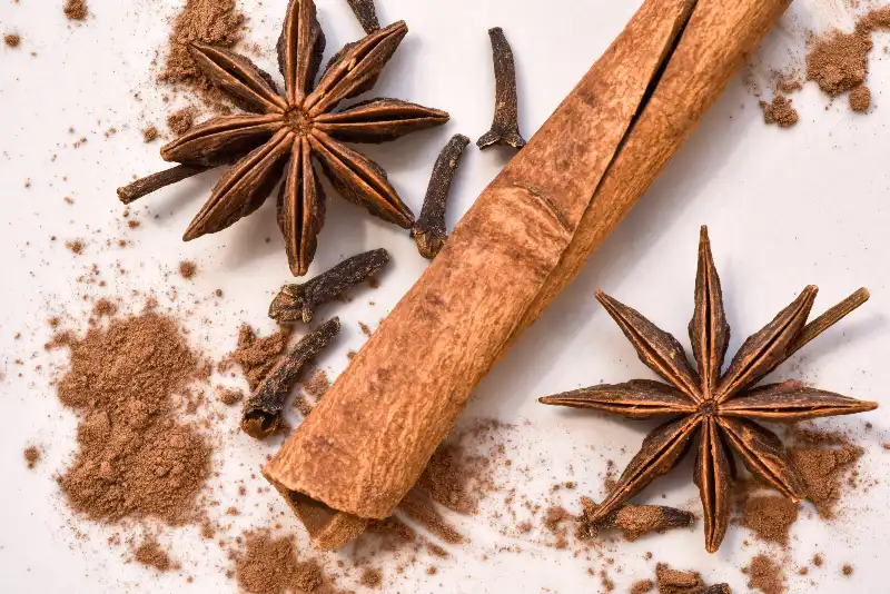 9 Health Benefits of Cinnamon 