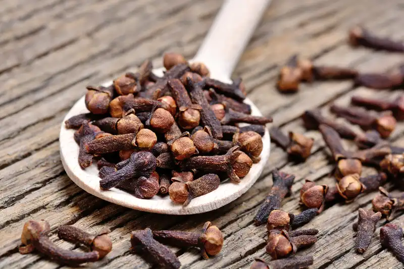 11 Well being Advantages of Cloves