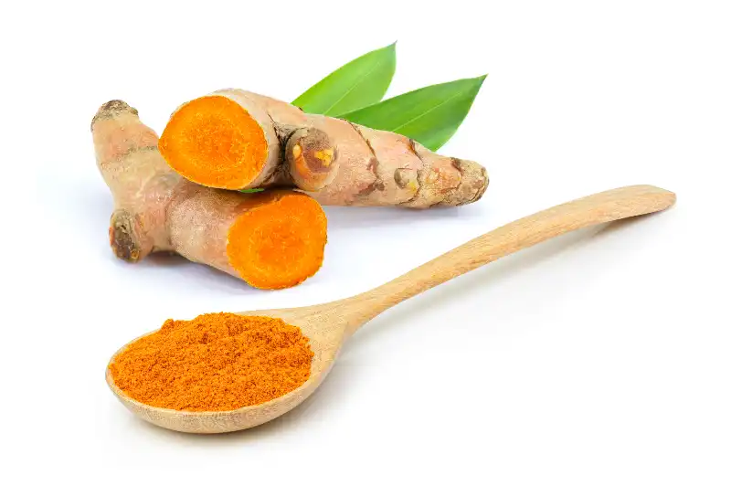 16 Well being Advantages of Turmeric or Haldi 